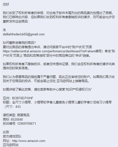 假冒商品（不带测试购买）